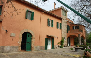 Ronciglione casale in vendita