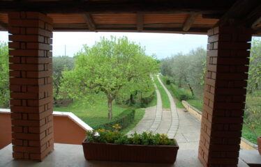 Ronciglione vicino centro casale con terreno