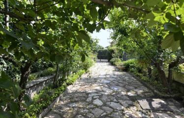 Capranica porzione di villa con giardino