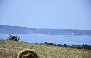 terreno agricolo trevignano vista lago