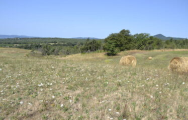 Trevignano terreno agricolo vista lago