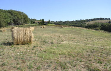 Trevignano terreno agricolo vista lago