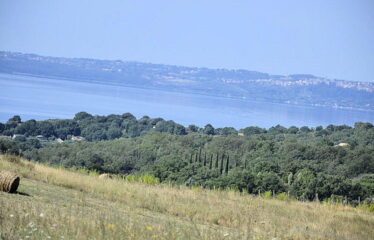 Trevignano terreno agricolo vista lago