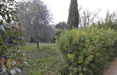 Capranica villa con giardino