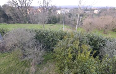 Capranica villa con giardino