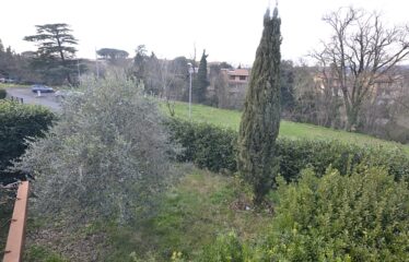 Capranica villa con giardino
