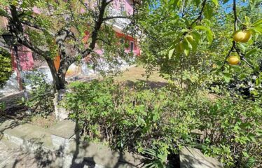 Capranica porzione di villa con giardino