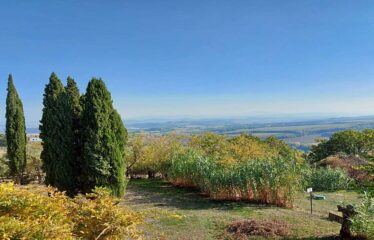 Tra Val D’Orcia e Val di Chiana autentico casale