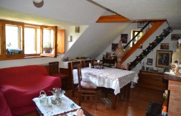 Cimina appartamento in residence nel bosco