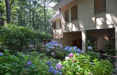 Cimina appartamento in residence nel bosco