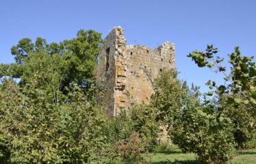 Capranica noccioleto con annesso agricolo