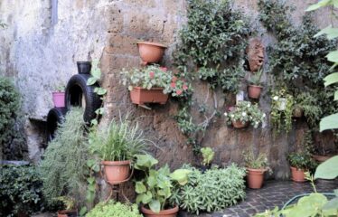 Capranica cantina vendita