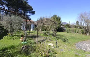 Lago di Vico villa indipendente