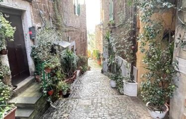 Capranica via principale del borgo appartamento ristrutturato ed arredato