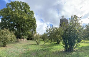 Capranica noccioleto con annesso agricolo