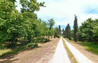 Capranica villa in un’ oasi verde