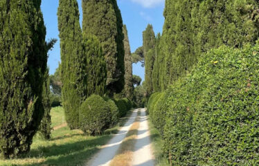 Capranica villa in un’ oasi verde