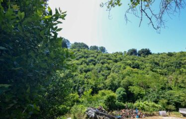 Capranica palazzetto indipendente con piccola area esterna