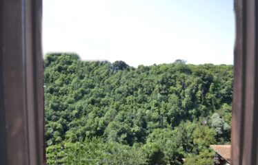 Capranica appartamento nel borgo