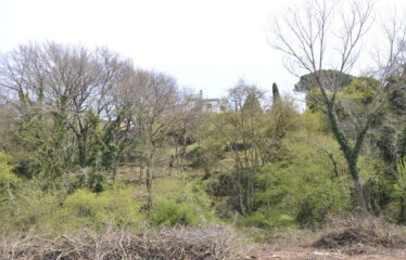 Villa indipendente a Sutri