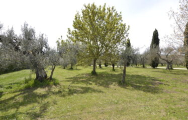 Villa indipendente a Sutri