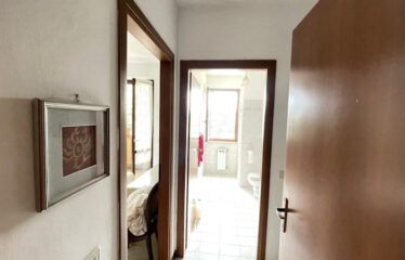 Colle del Petrarca trilocale arredato