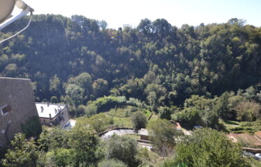 Capranica borgo antico appartamento