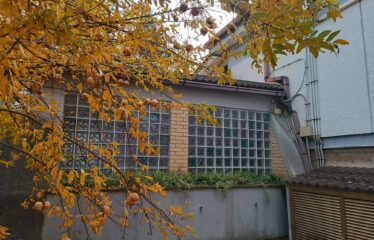 Villa unifamiliare centro residenziale Poggio dell’Ellera Campagnano di Roma