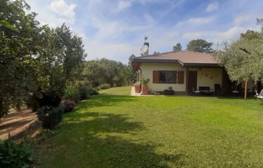 CAPRANICA TENUTA BIOLOGICA