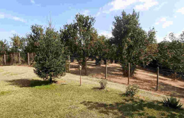 CAPRANICA TENUTA BIOLOGICA