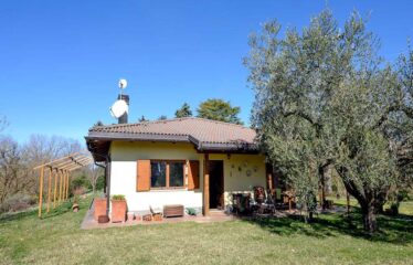 CAPRANICA TENUTA BIOLOGICA