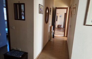 CAPRANICA TENUTA BIOLOGICA