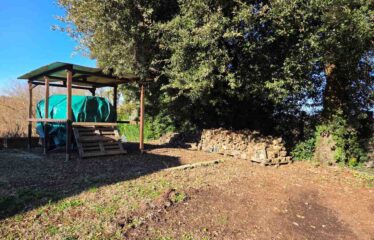 CAPRANICA TENUTA BIOLOGICA