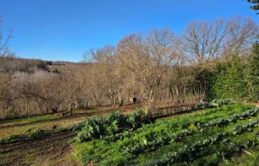 CAPRANICA TENUTA BIOLOGICA