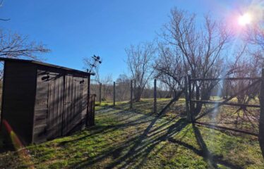 CAPRANICA TENUTA BIOLOGICA