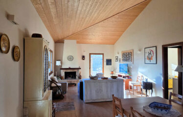 CAPRANICA TENUTA BIOLOGICA