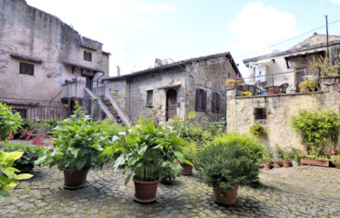 CAPRANICA  Palazzetto caratteristico