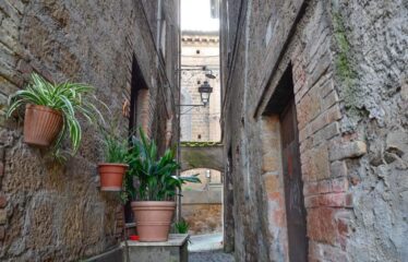 CAPRANICA  Palazzetto caratteristico