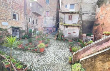 CAPRANICA  Palazzetto caratteristico