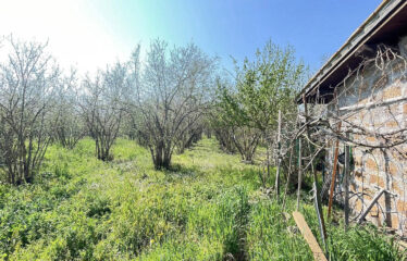 CAPRANICA Noccioleto con casaletto