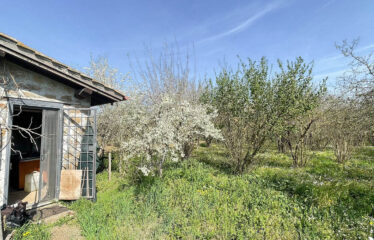 CAPRANICA Noccioleto con casaletto