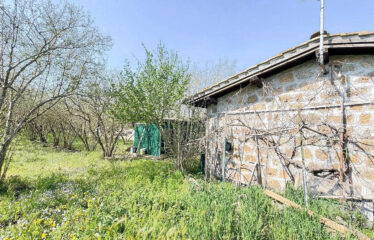 CAPRANICA Noccioleto con casaletto