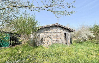 CAPRANICA Noccioleto con casaletto