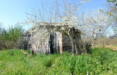 CAPRANICA Noccioleto con casaletto
