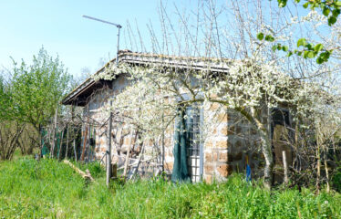 CAPRANICA Noccioleto con casaletto