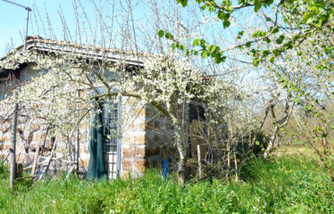CAPRANICA Noccioleto con casaletto