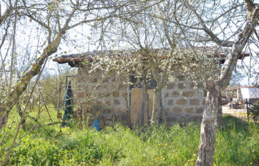 CAPRANICA Noccioleto con casaletto