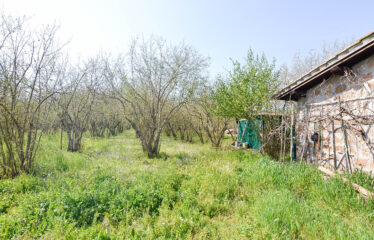CAPRANICA Noccioleto con casaletto