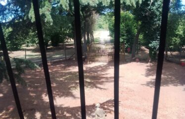 Porzione di villa d’epoca Capranica