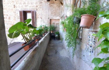 Appartamento sulla via principale